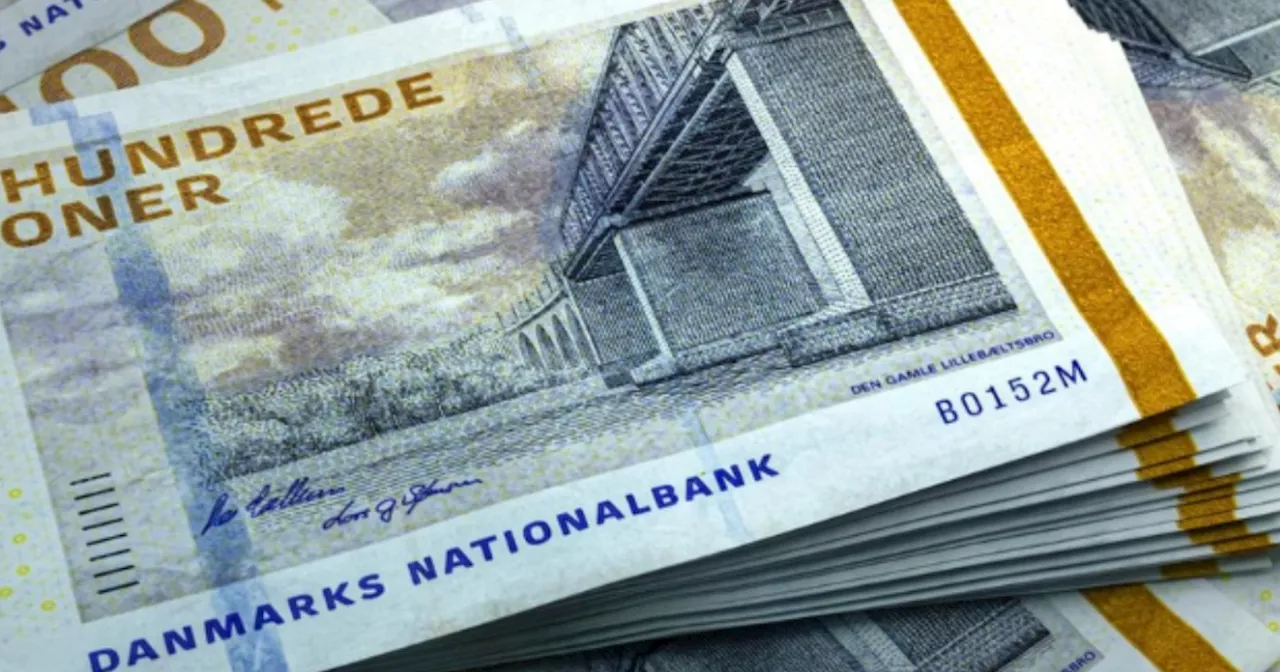 Har kostet danskerne 19 milliarder kroner: Ekspert er bekymret for fremtiden