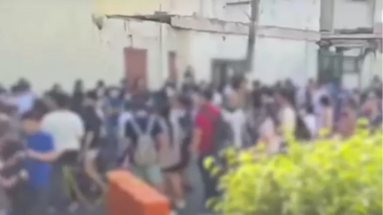 People bitten, scratched by animals flock to San Lazaro Hospital