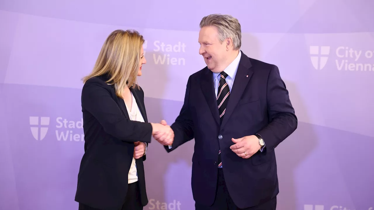 Doppelschlag im Rathaus - Ludwig und Emmerling zeigen Wiens Pläne und Team