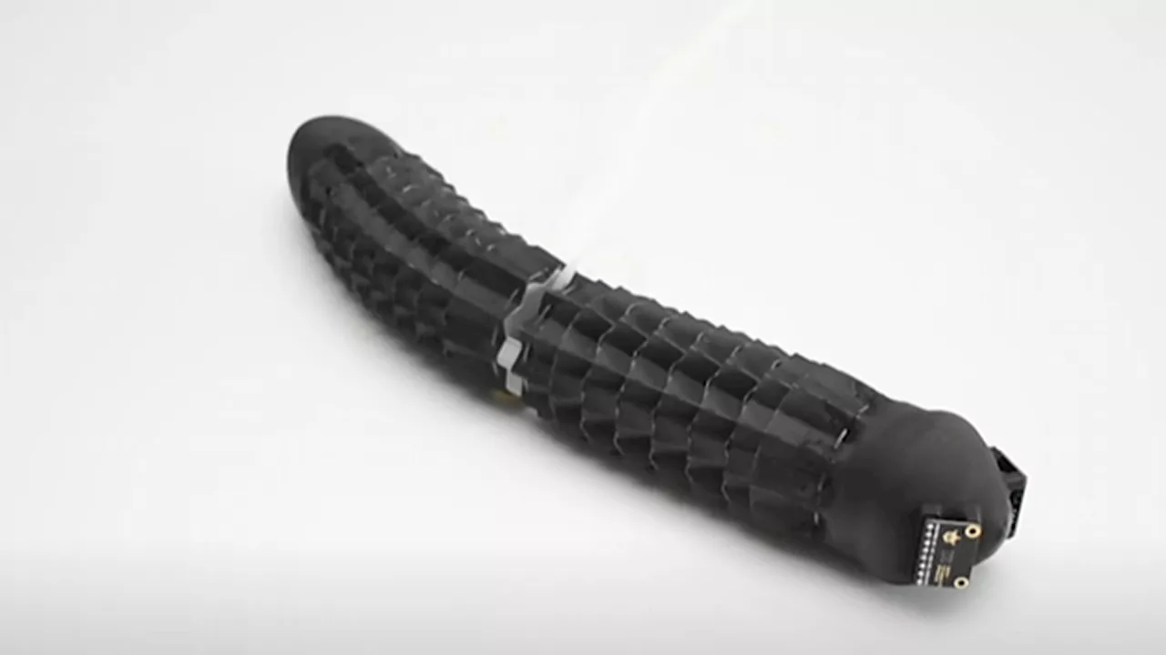 Video: New snake-like robot crawls through hazardous spaces with kirigami skin