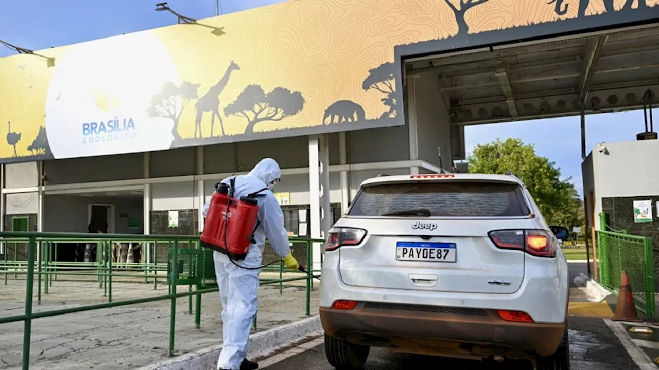 Por la gripe aviar, Brasilia cierra su zoológico y despliega una barrera sanitaria