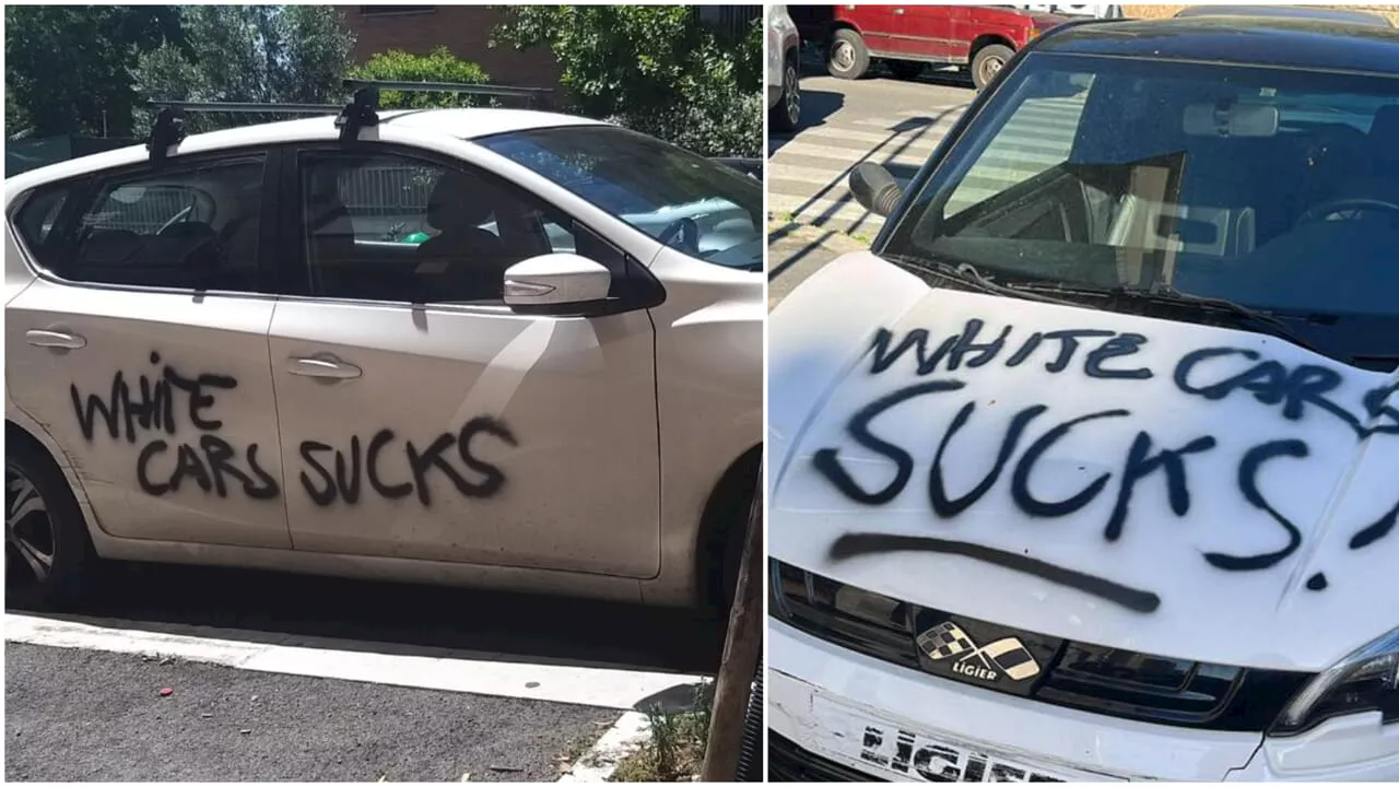 L'imbrattatore seriale che vandalizza le auto bianche di Roma sud