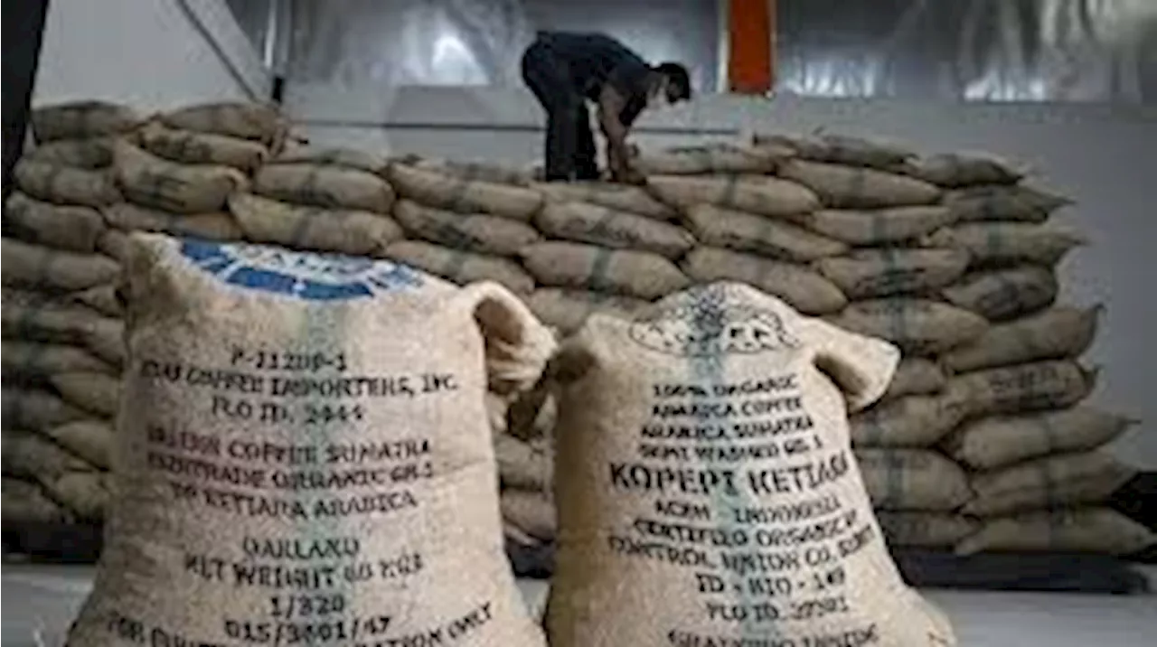 Indonesia trade surplus shrinks as global tariff fears boost imports from China