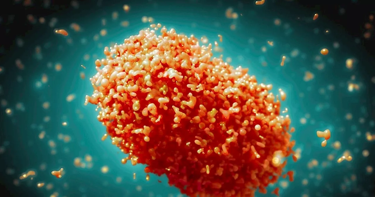 DOH-Davao confirms 8 Mpox cases in Region 11