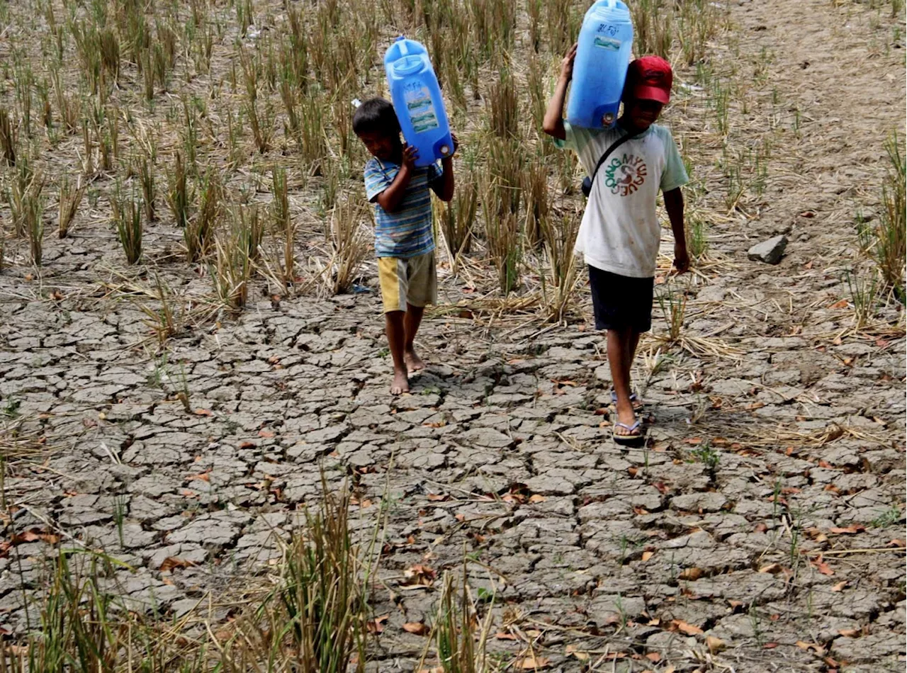 NIA told to resolve irrigation issues