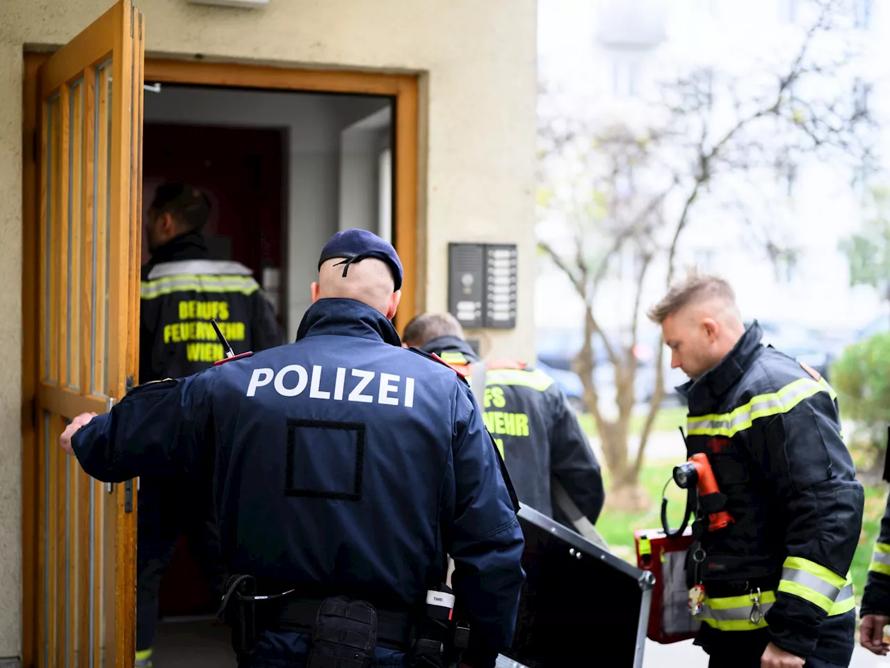 Mutter tötete in akuter Psychose vierjährigen Sohn: Prozess in Wien