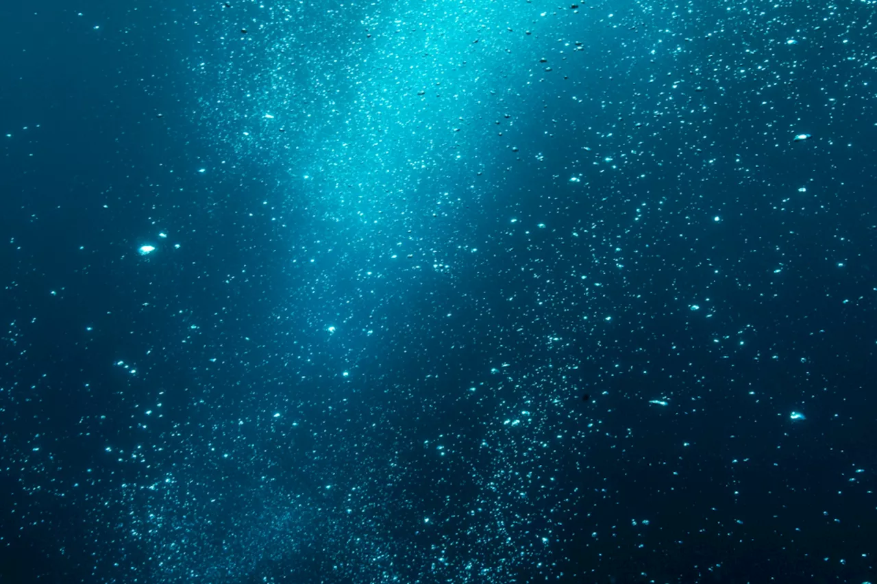 Scientists found the first known methane-powered spiders at the bottom of the sea