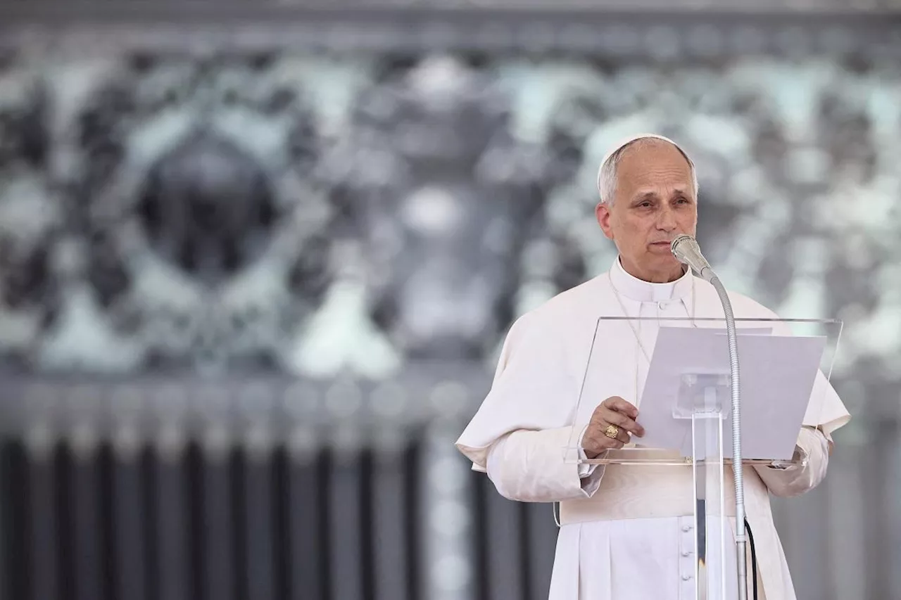 Pope Leo warns of AI risks to young brains