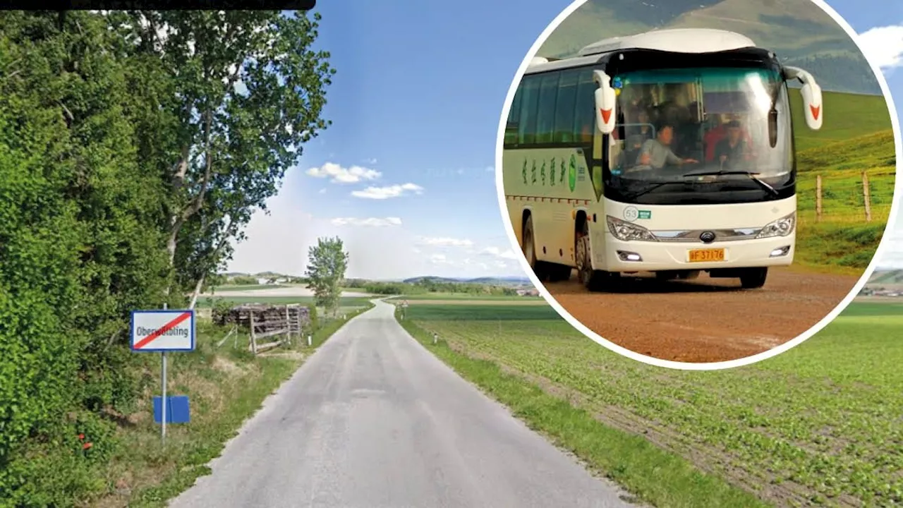 Kilometerlanger Fußmarsch - 'Verängstigt, überfordert' Busfahrer wirft Schüler raus