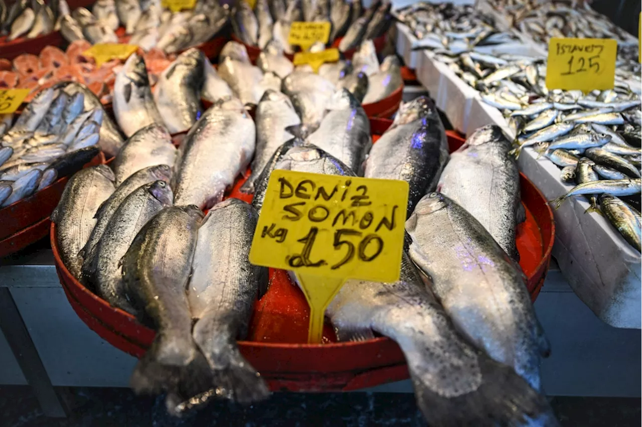 Would you like some ‘Turkish salmon’?: The Black Sea’s new rose-coloured gold