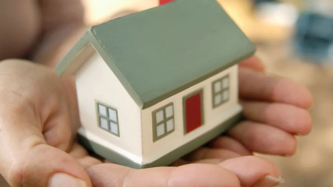 ¿Quiénes reciben el apoyo de 40 MIL pesos del programa Mejoramiento de Vivienda para el Bienestar?