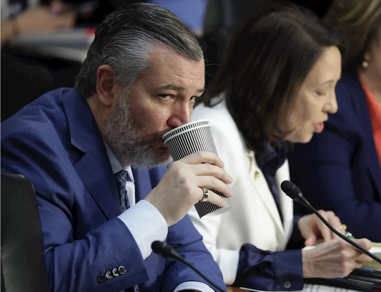 Ted Cruz Trolls 'Fact-Free' Tucker Carlson With 'Objective Fact'