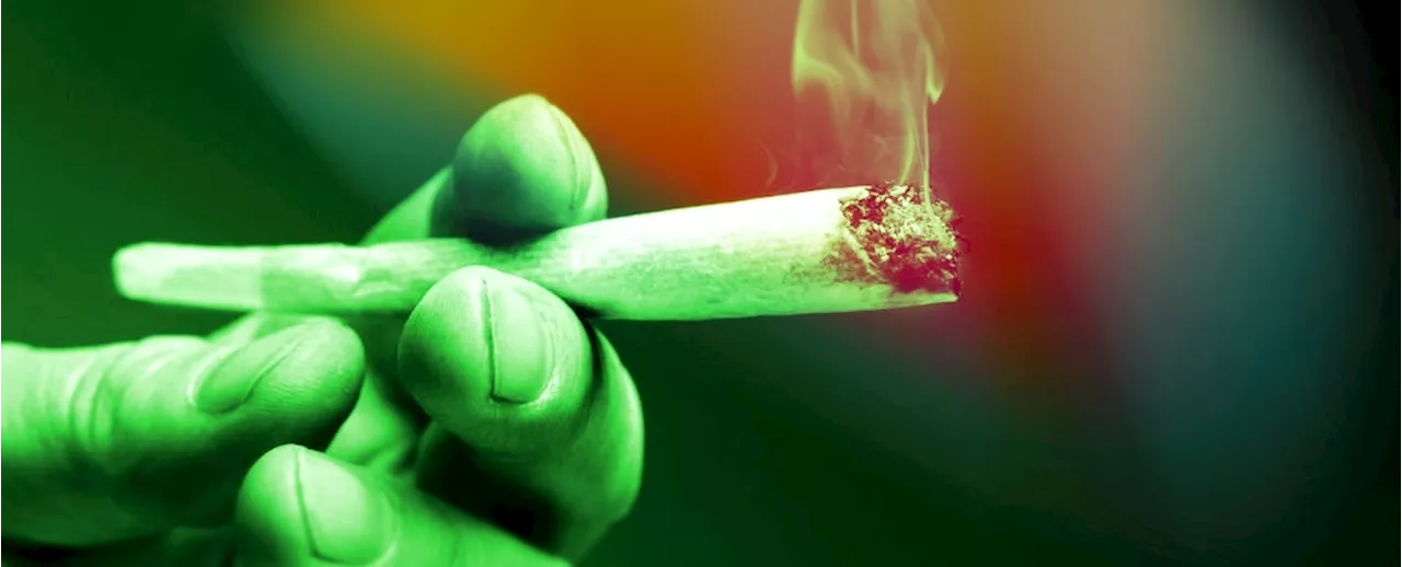 Cannabis Linked to 2x Risk of Heart Disease Death, Scientists Discover