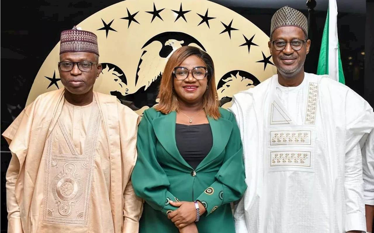 'Every Nigerian deserves a decent home' -- housing minister backs proposed journalists’ village in Abuja