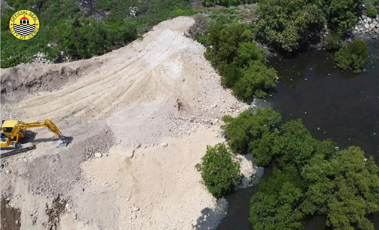 Cebu City council wants flood project stopped