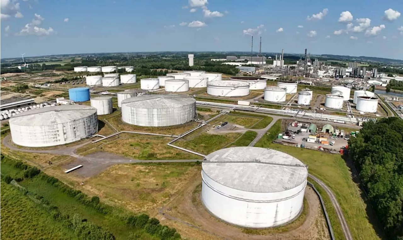 Govt urged to create oil reserve