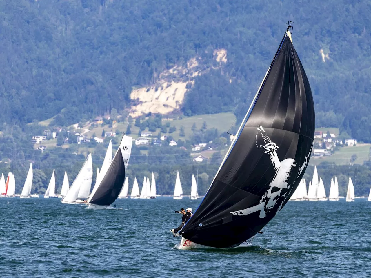 Rund Um Bodensee: Regatta mit 250 Booten