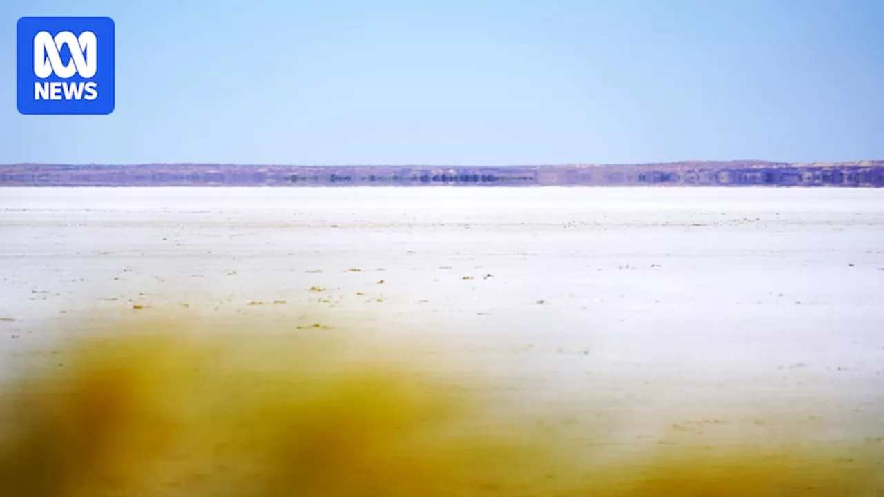 Visitors still walking on Kati Thanda-Lake Eyre months after foot traffic ban
