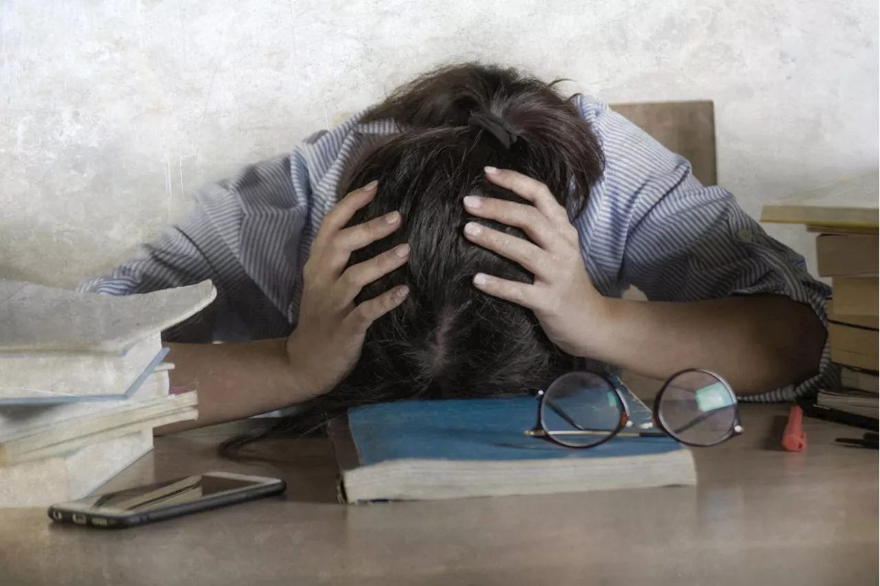 More students step forward after NTU student says citation typos led to false AI cheating accusation -