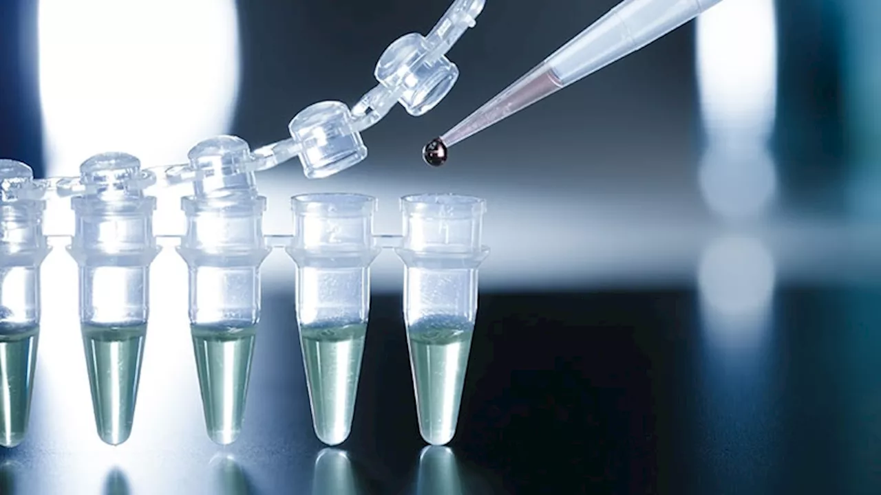 Stem Cell-Derived Islets Still Producing Insulin at 1 Year