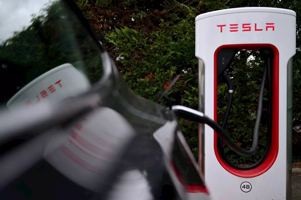 Tesla to build first grid-scale power plant in China