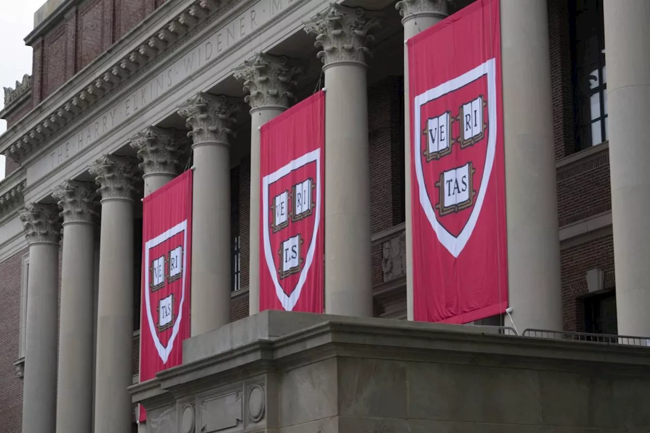 US judge blocks Trump ban on foreign students at Harvard