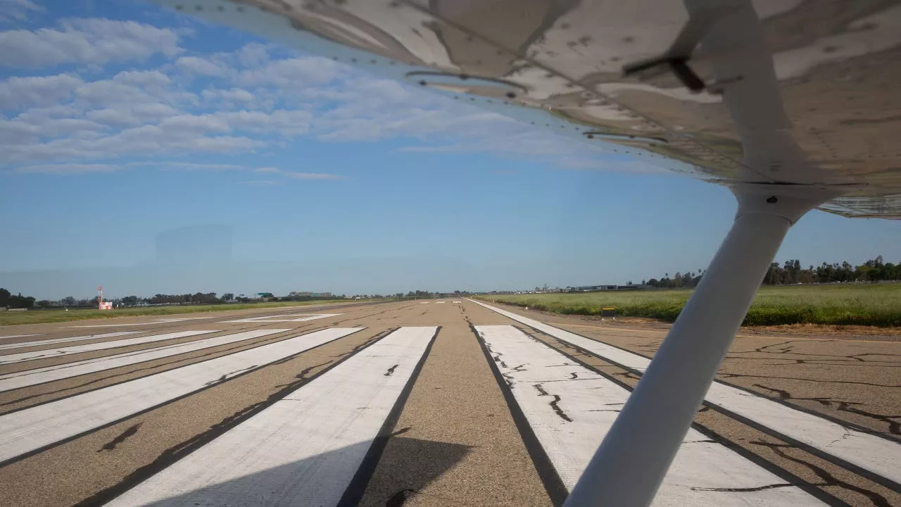 Pilot Tries to Avoid Turtle, Crashing Plane Kills Two in North Carolina