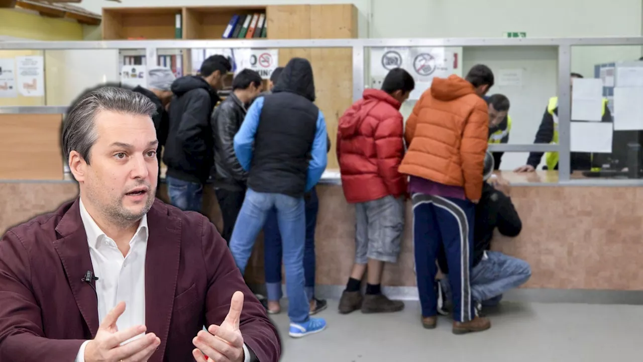 Integrationsstudie überrascht - FPÖ tobt: 'Wien muss zu Abschiebehaupststadt werden'
