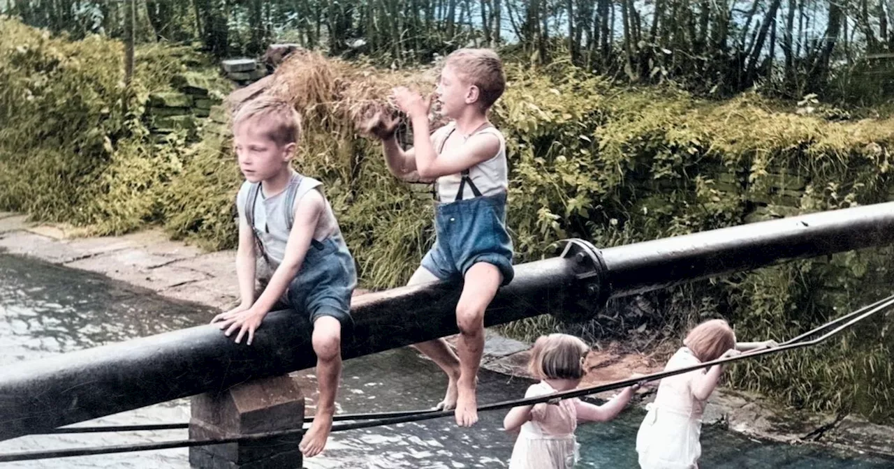 Seven places we loved to spend our lazy summer days as kids