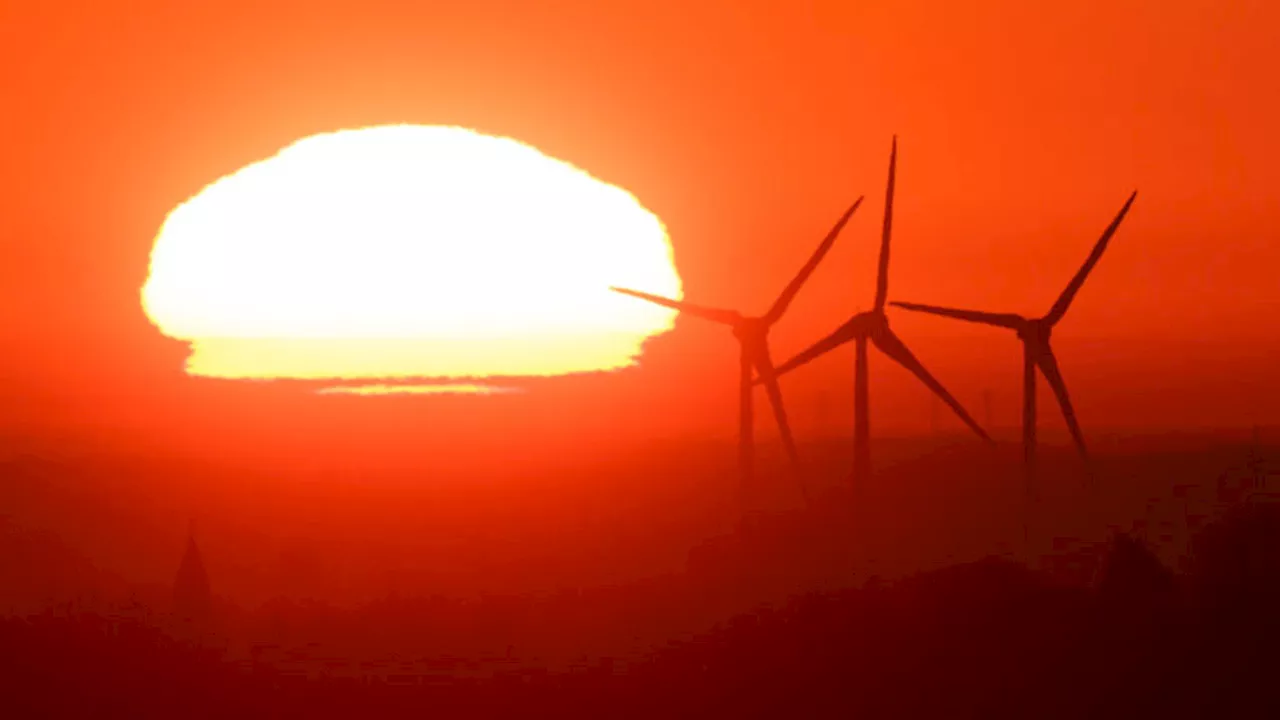 Für Windräder und Solarparks: Sachsen will 250 Fussballfelder Wald roden