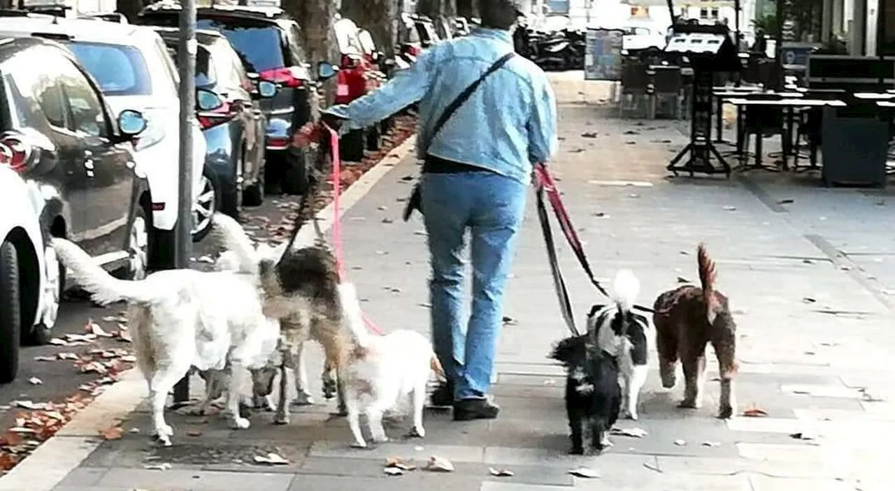 Anche i cani sono tutelati dalle leggi: una giornata per conoscere i loro diritti