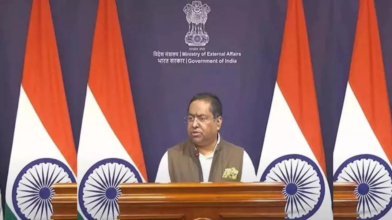 पाकिस्तान के प्रभाव में आकर 'तथ्यात्मक रूप से गलत' बातें कर रहा OIC, भारत ने मुस्लिम देशों के संगठन को सुना दिया
