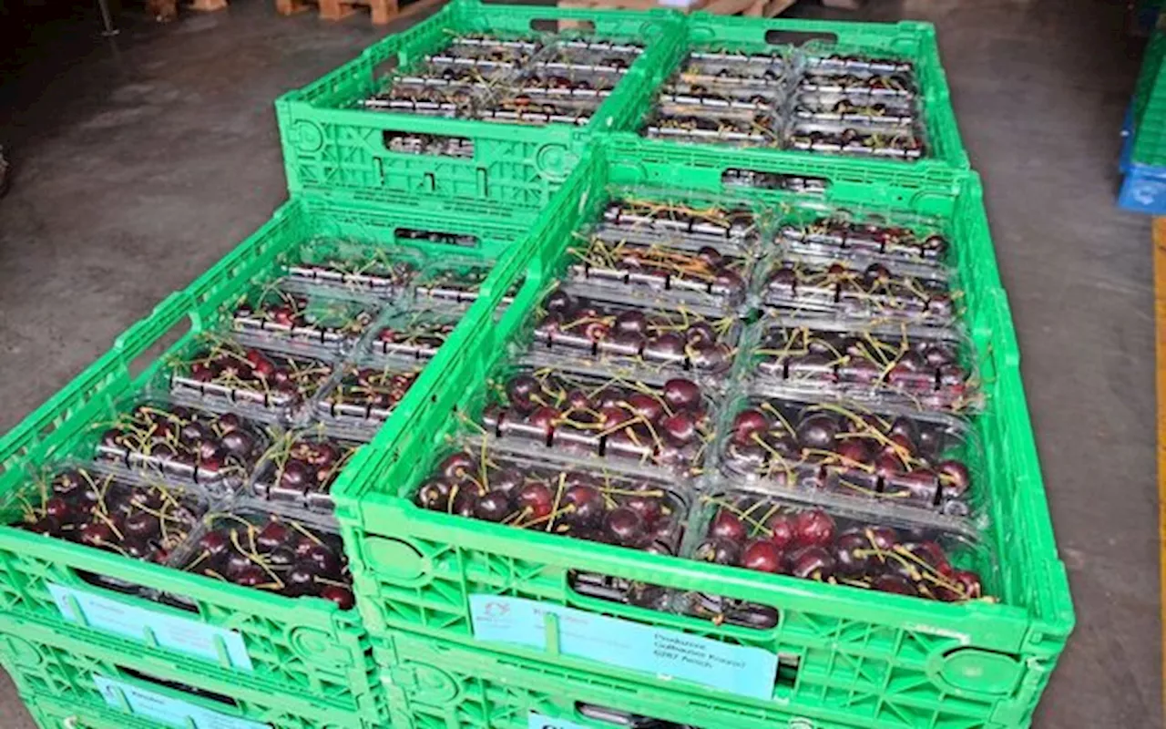 Migros, Aldi und Lidl planen kein Bonus-System à la Coop