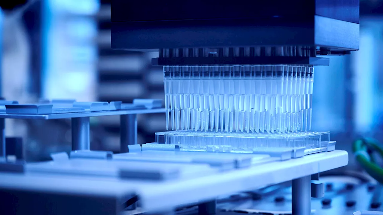 Un proyecto científico propone crear paracetamol a partir de residuos plásticos usando bacterias modificadas