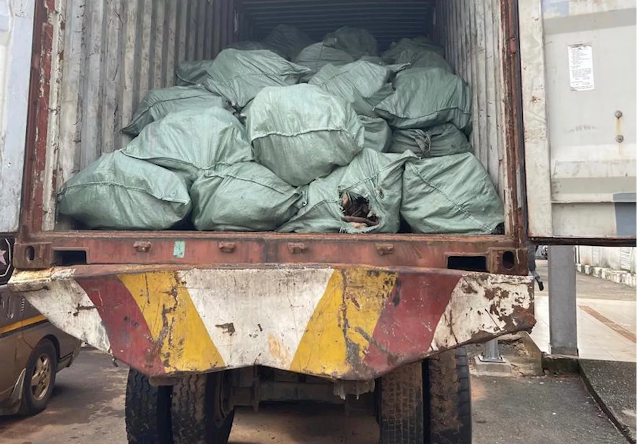Nigeria Customs intercepts 13.6kg dry donkey skin worth N3.6 billion