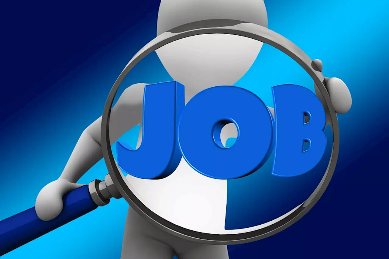 Economists' optimistic despite 0.7% decline in formal job sector - SABC News - Breaking news, special reports, world, business, sport coverage of all South African current events. Africa's news leader.