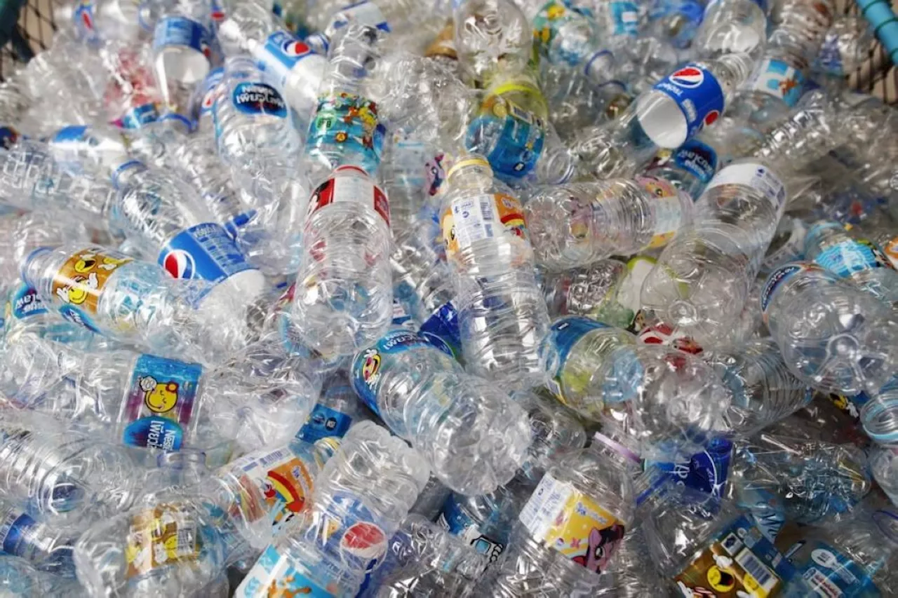 E.coli can turn plastic into painkillers