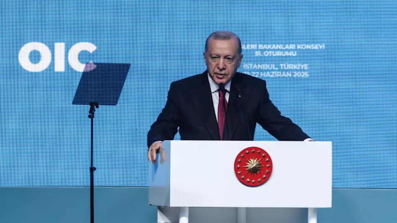 Türkei-Präsident Erdogan verurteilt jegliche Angriffe auf den Iran