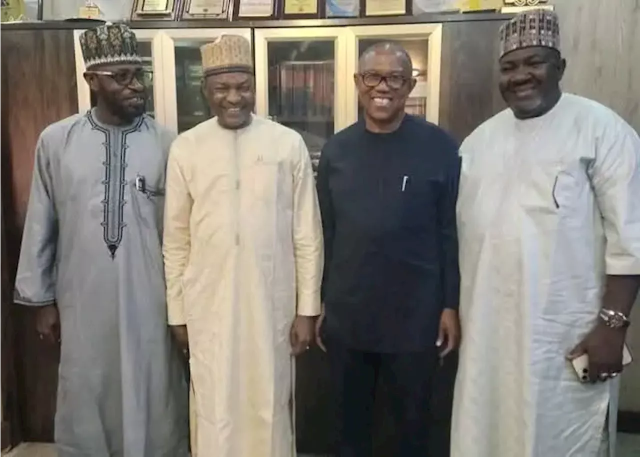 2027: Peter Obi meets ex-AGF Malami amid coalition talks