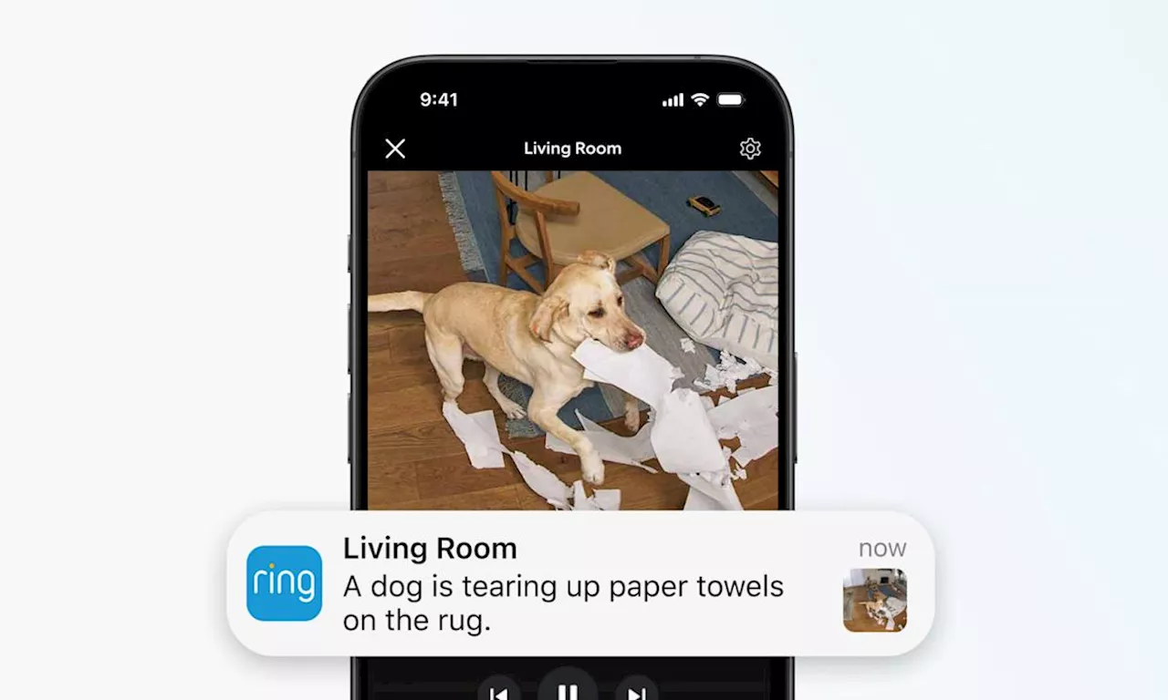 Ring's AI video descriptions tell you who's doing what
