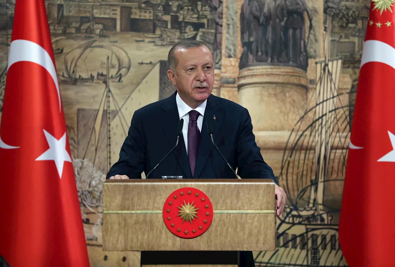 Turkey's Erdogan calls for permanent Iran-Israel ceasefire, Gaza truce