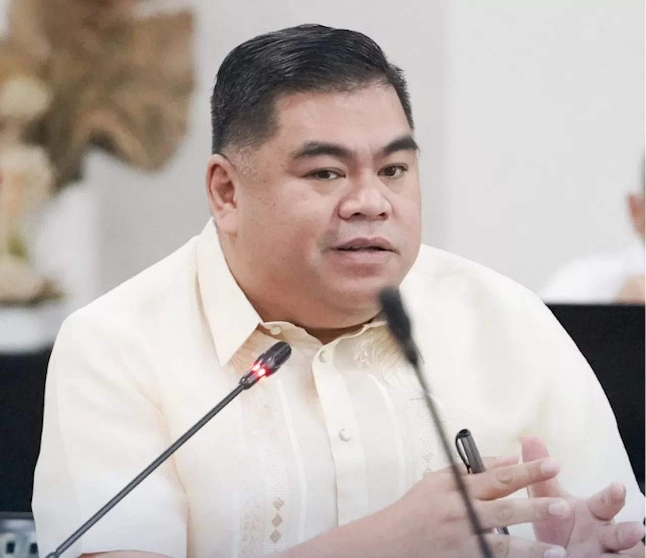 Solon backs criticism of VP’s China stance