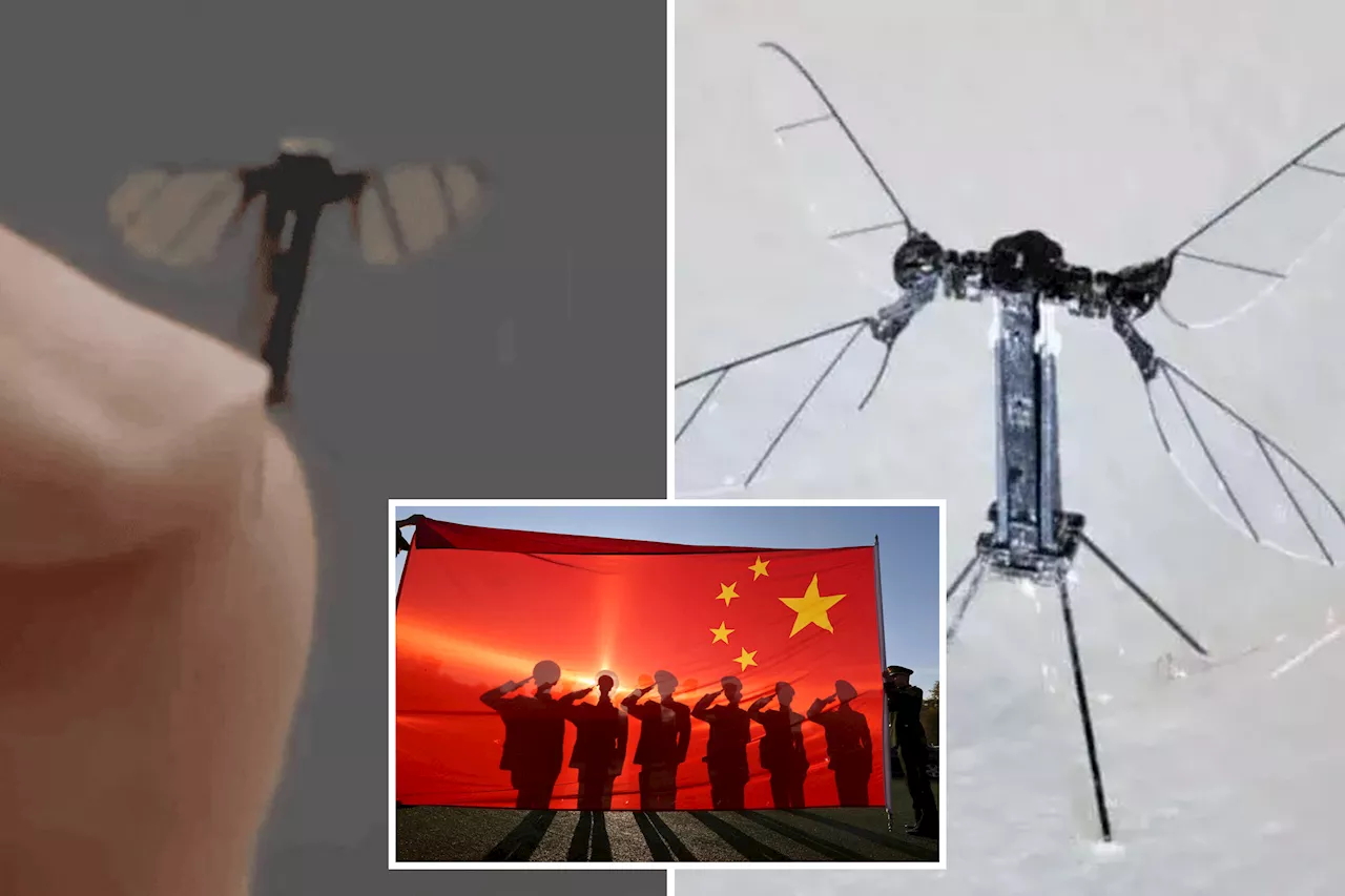 China unveils eerie mosquito-sized drone designed for stealth military operations -- nearly invisible to naked eye