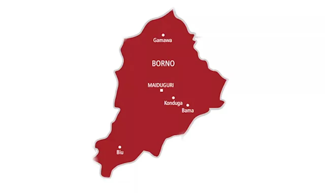 Bomb explosion kills four travellers in Borno