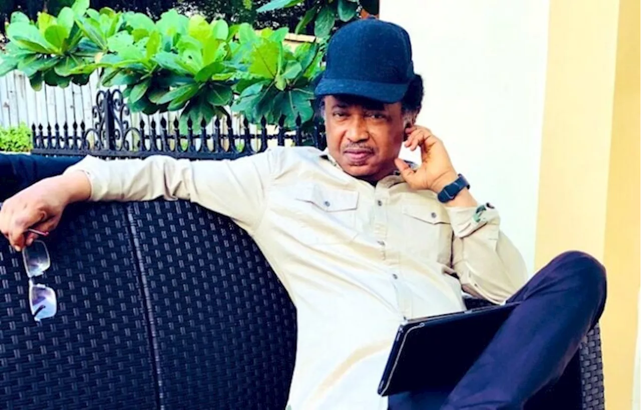 Blaming Tinubu for your party crisis is irresponsible, Shehu Sani tells opposition