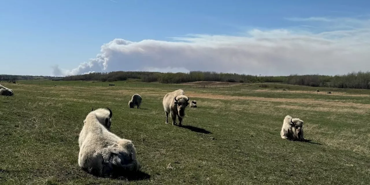 Carney says Indigenous traditions are key to protecting nature—Métis climate leadership offers a path forward
