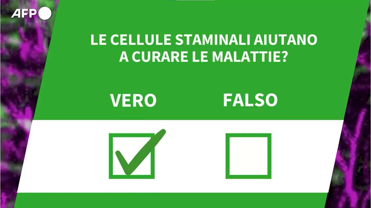  Le cellule staminali aiutano a curare le malattie?