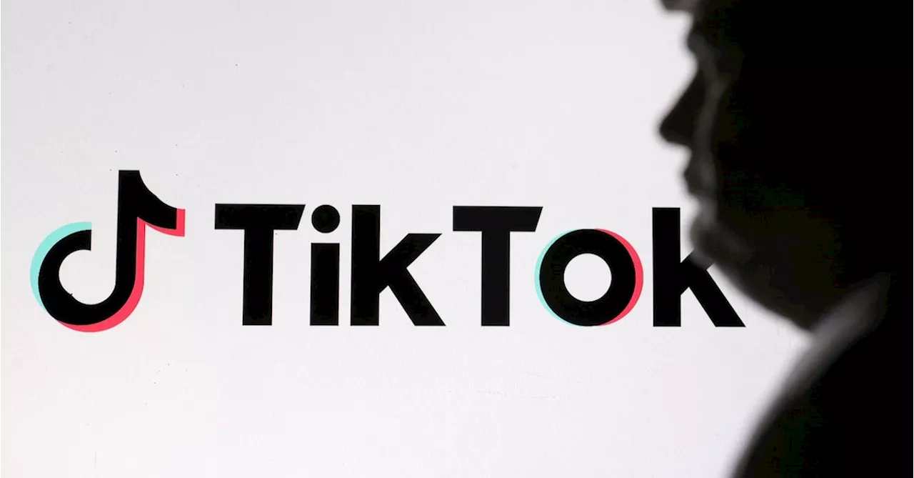 Toying with TikTok courts a Big Tech revolt