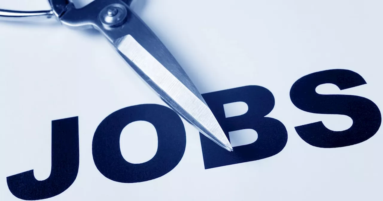 Tech jobs shake-up echoes post-Covid cuts, but with AI twist