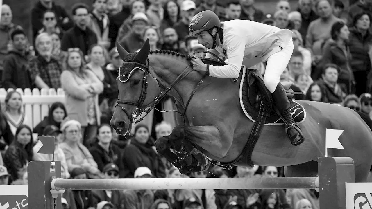 Olympiareiter Yuri Mansur am Boden zerstört: Herzenspferd Miss Blue ist tot